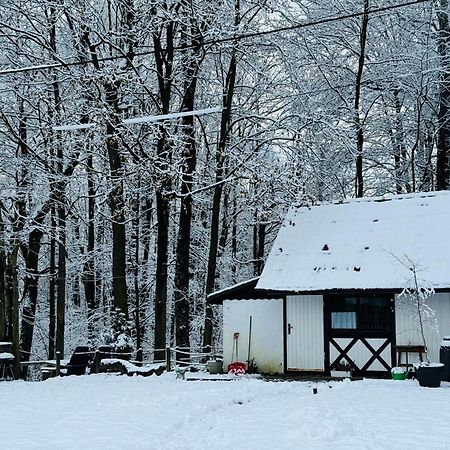 Romantyczna Chatka Pisarzowice  Exterior foto