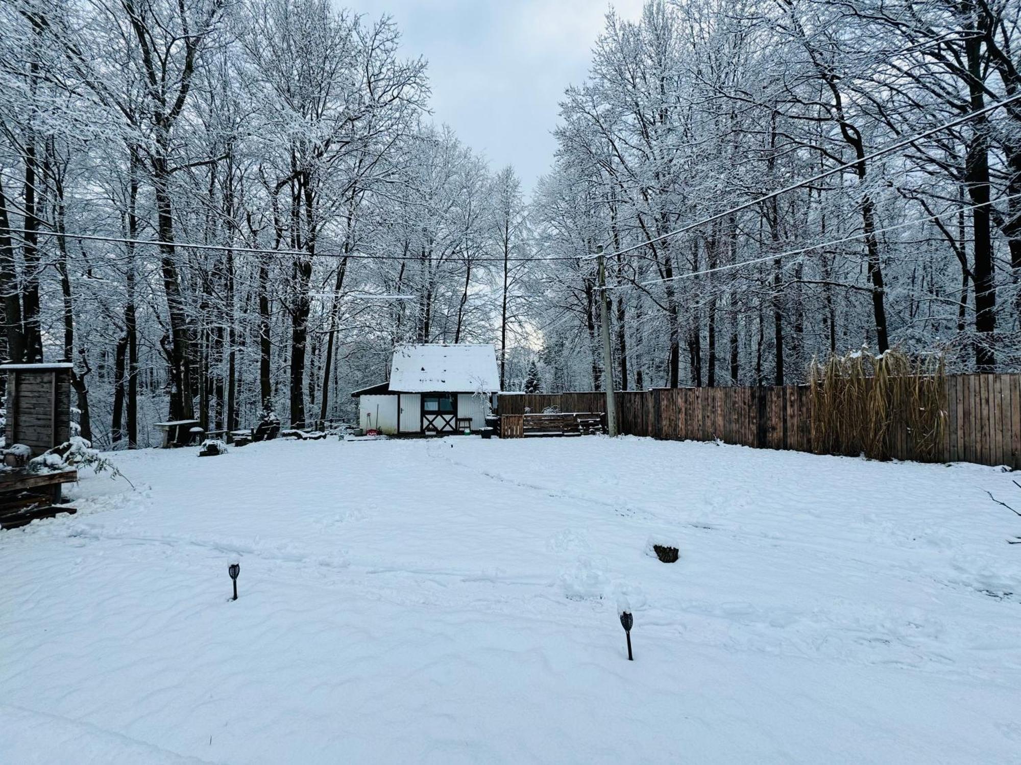 Romantyczna Chatka Pisarzowice  Exterior foto